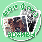 Собака чау чау фото питомник чау ИЛЬ ДЕ БОТЕ (IL DE BOTE) Хабаровск